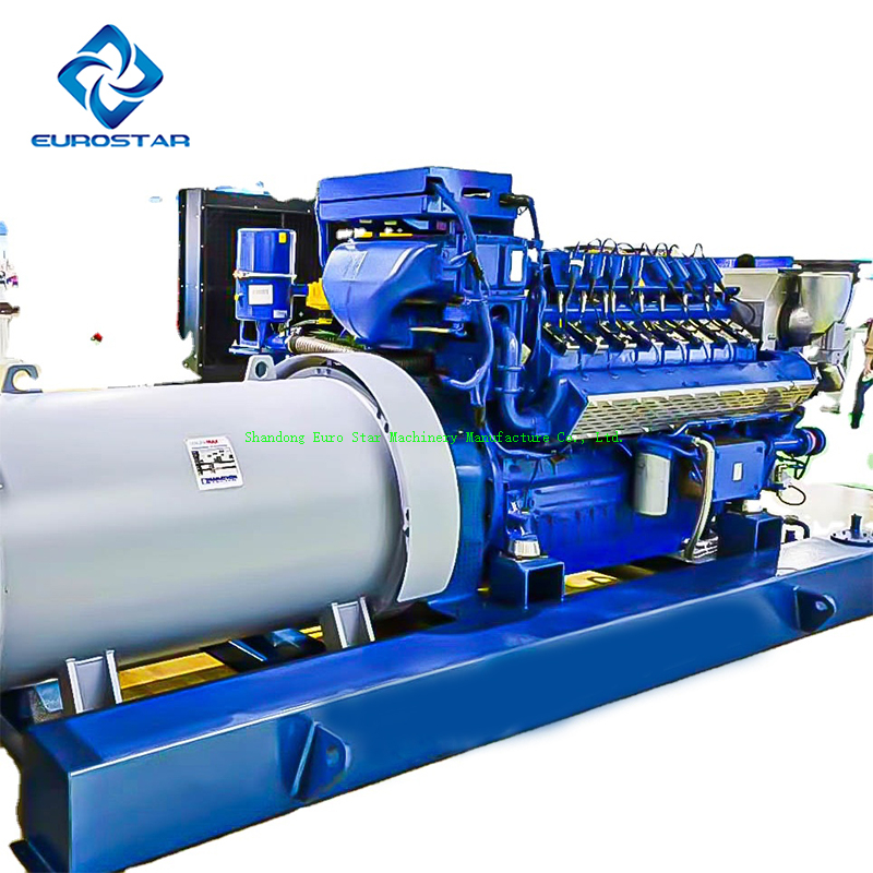 1MW Natural Gas Generator for Power Plant
