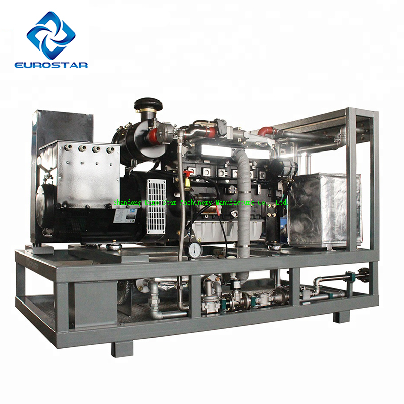 cogeneration biogas electricity generator